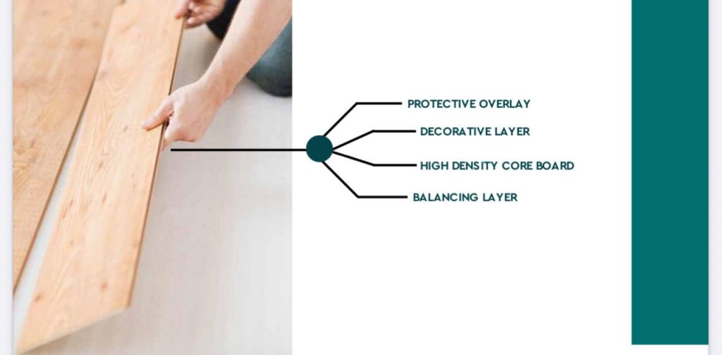 WhatsApp Image 2025 12 29 at 1.57.40 PM