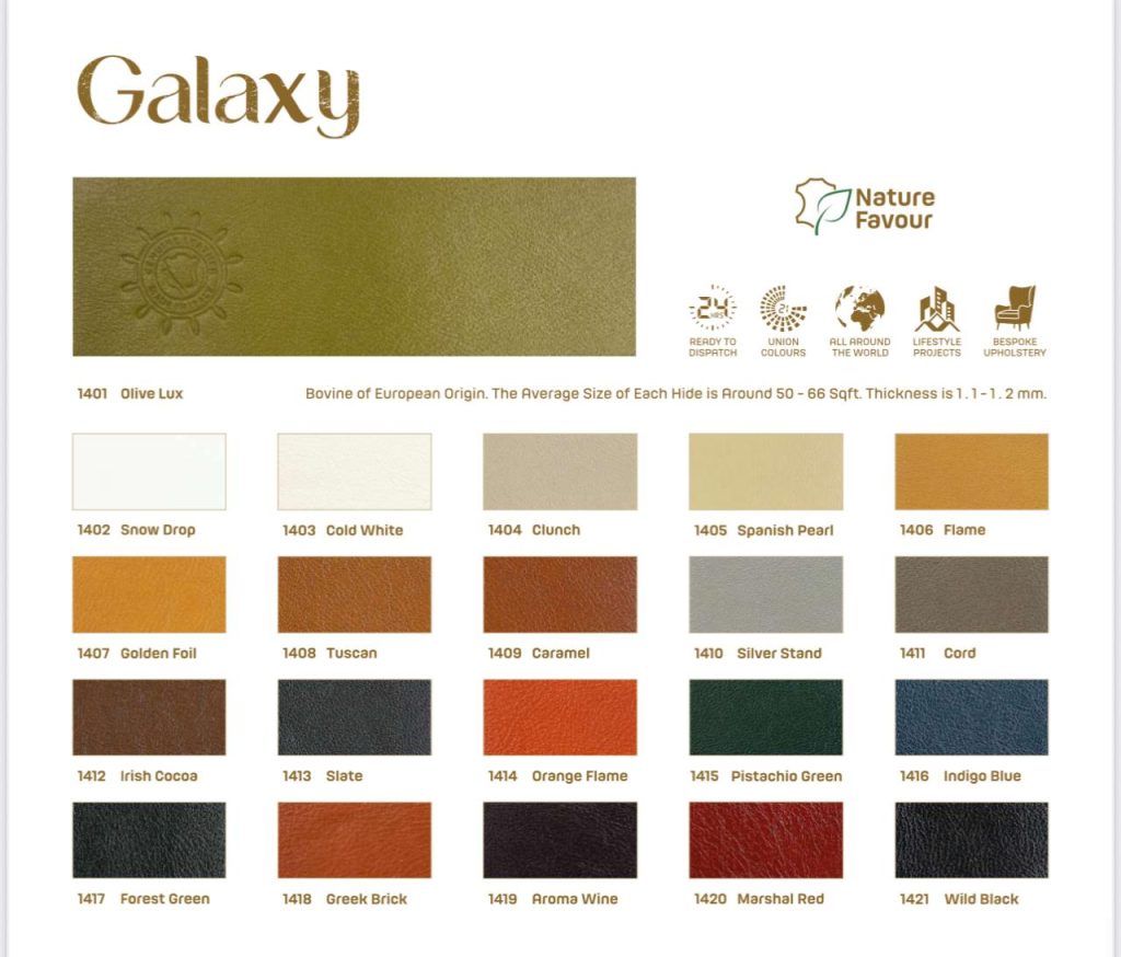 WhatsApp Image 2026 01 05 at 6.11.36 PM