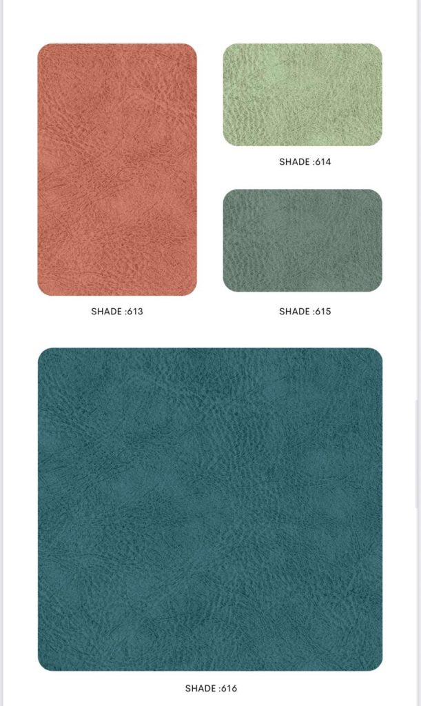 WhatsApp Image 2026 01 06 at 11.38.41 AM